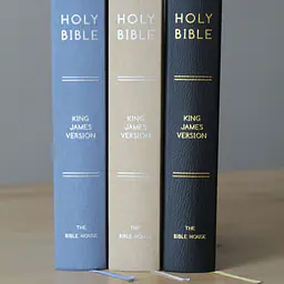 KJV Study Bible - C.I. Scofield Study Notes - Master