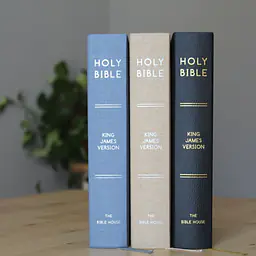 KJV Study Bible - C.I. Scofield Study Notes - Master