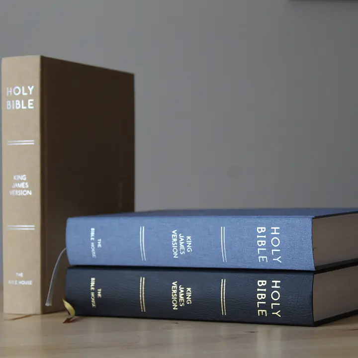 KJV Study Bible - C.I. Scofield Study Notes - Master