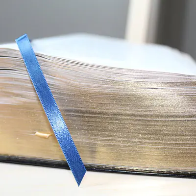 Nepali English Parallel Bible secondary image