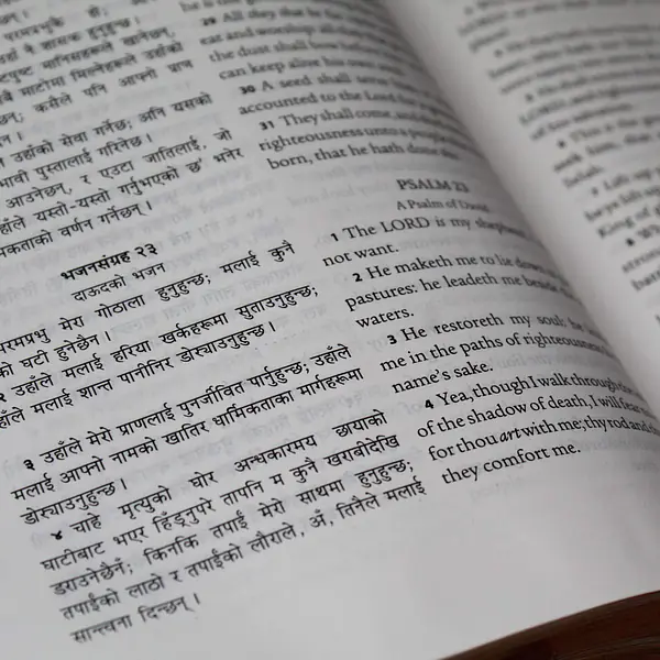 Imperfect| Nepali English Parallel Bible primary image