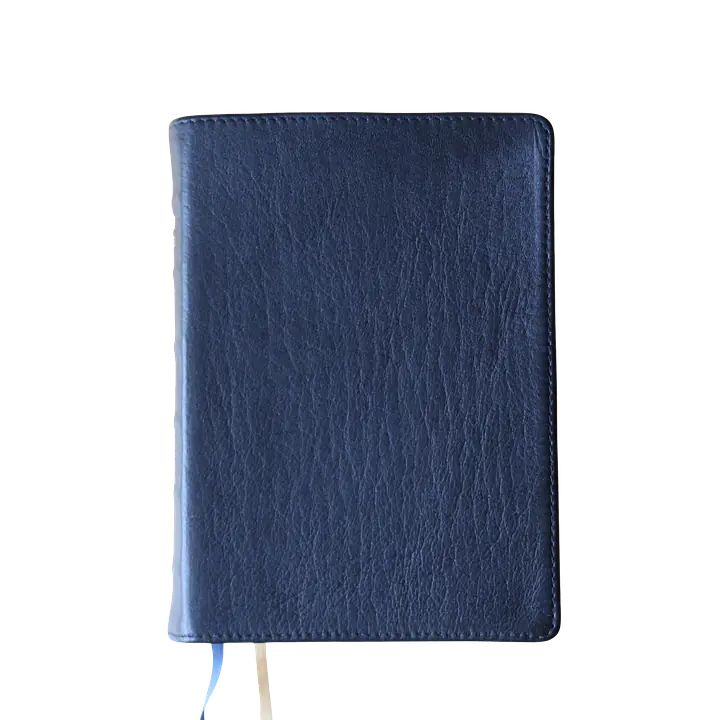 Nepali English Parallel Bible - Master