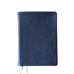 Nepali English Parallel Bible - Master