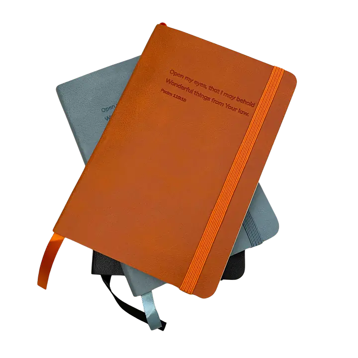 The Bible Study Companion: One-Year Reading Plan Journal with Study Questions and Prayer Log - Master