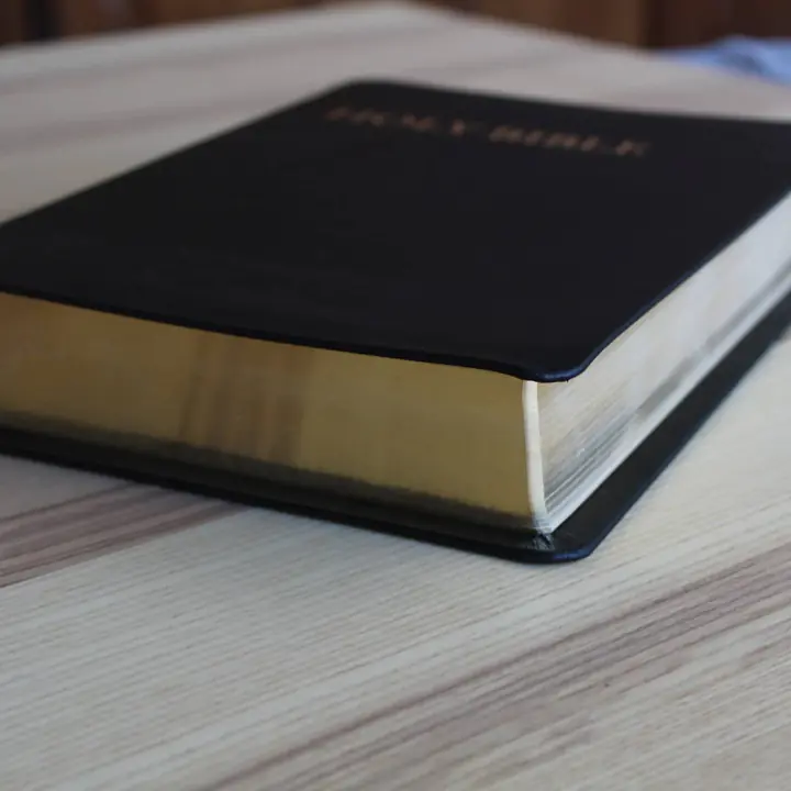 KJV Study Bible - C.I. Scofield Study Notes - Color: Black, Cover: Leather