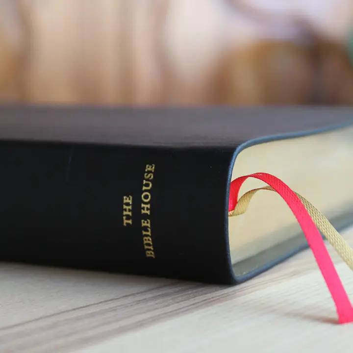 KJV Study Bible - C.I. Scofield Study Notes - Color: Black, Cover: Leather