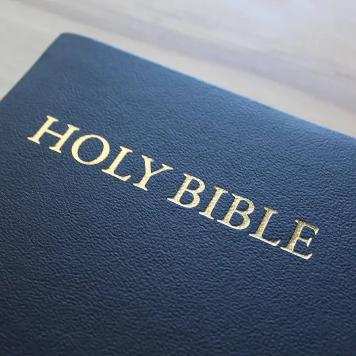 KJV Study Bible - C.I. Scofield Study Notes - Color: Black, Cover: Leather