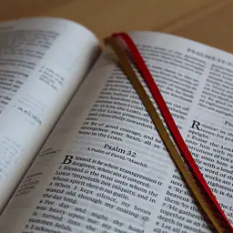 KJV Study Bible - C.I. Scofield Study Notes - Color: Black, Cover: Leather