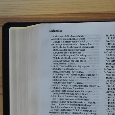 KJV Study Bible - C.I. Scofield Study Notes secondary image