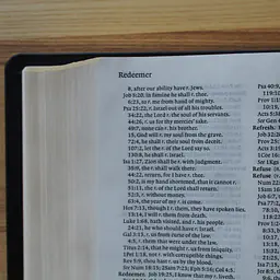 KJV Study Bible - C.I. Scofield Study Notes - Color: Black, Cover: Leather