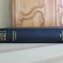 KJV Study Bible - C.I. Scofield Study Notes - Color: Black, Cover: Leather