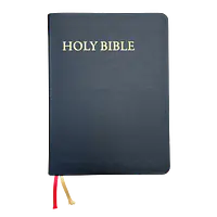 KJV Study Bible - C.I. Scofield Study Notes - Color: Black, Cover: Leather