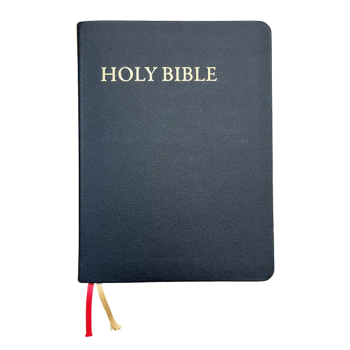 KJV Study Bible - C.I. Scofield Study Notes - Color: Black, Cover: Leather