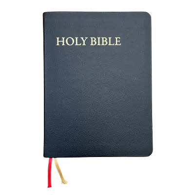 KJV Study Bible - C.I. Scofield Study Notes primary image