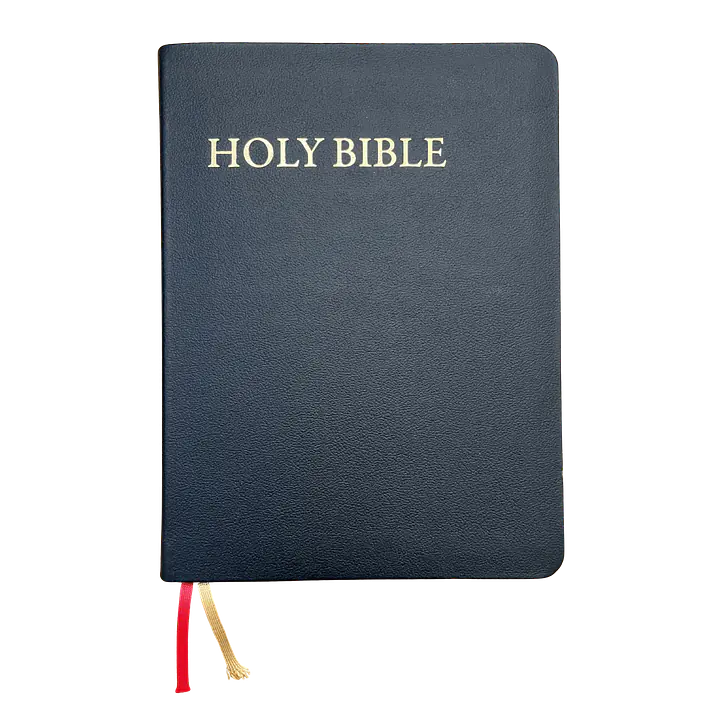 KJV Study Bible - C.I. Scofield Study Notes - Color: Black, Cover: Leather